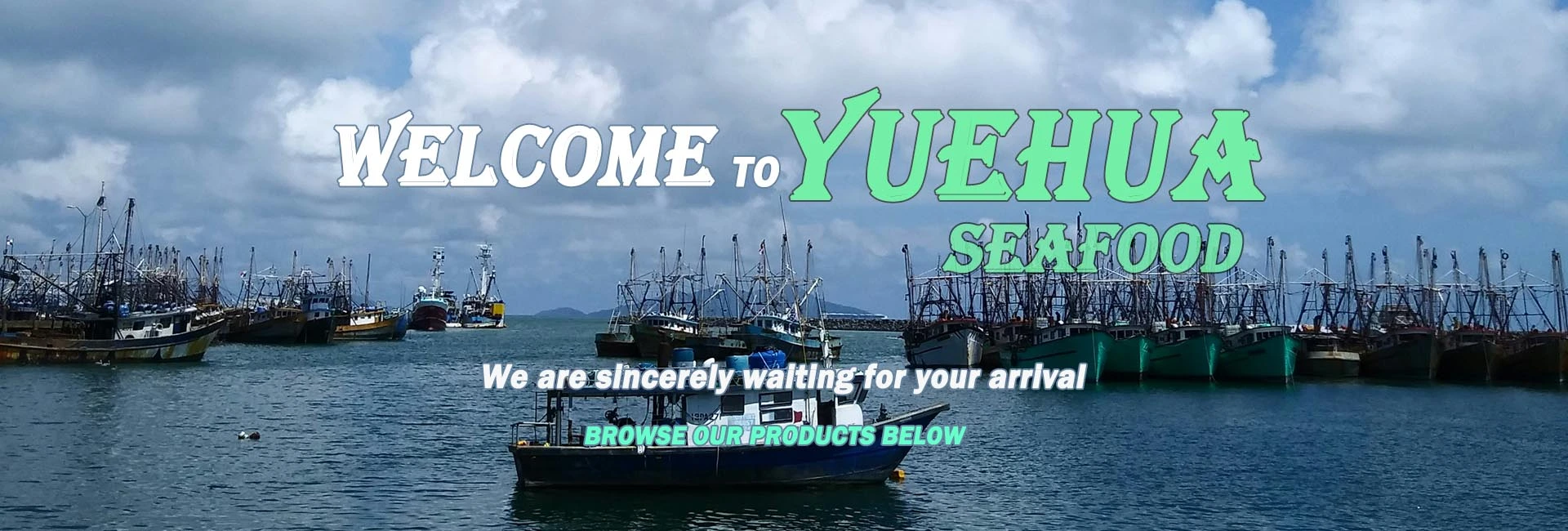 Frozen fish and seafood suppliers from China | Yuehua Seafood