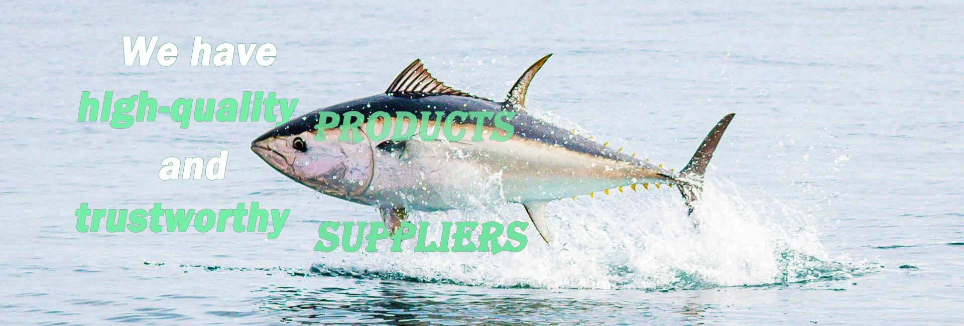 Frozen fish and seafood  | Yuehua Seafood