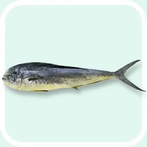 Mahi Mahi